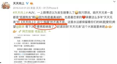 一人一句娱乐圈爆料文案,揭秘明星背后的故事