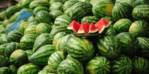 儿童av西瓜,揭秘儿童动画中的隐秘内容