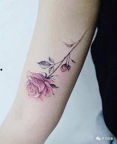 手臂纹身视频,手臂纹身视频中的视觉盛宴