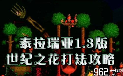 世纪之花怎么打视频,视频创意制作攻略