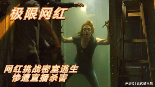 密室绑架在线播放,悬疑惊悚，在线播放带你揭秘神秘囚禁之谜