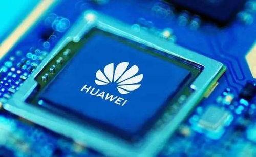 华为爆料最准博主视频下载,最准博主视频下载攻略大揭秘！”